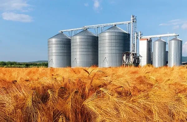 KÜRESEL GIDA FİYATLARI 5 AY SONRA İLK KEZ YÜKSELDİ!