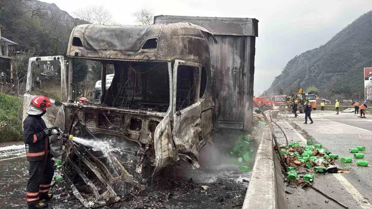 D-650'de Feci Kaza: İki Tırın Çarpışması Ortalığı Savaş Alanına Çevirdi!