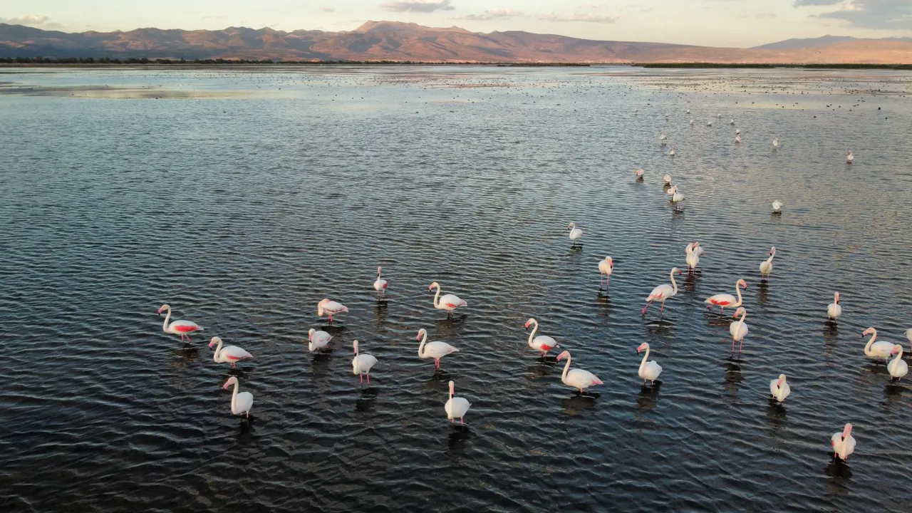 Flamingo Şöleni Düden Gölü’nü Yeniden Gündeme Taşıdı