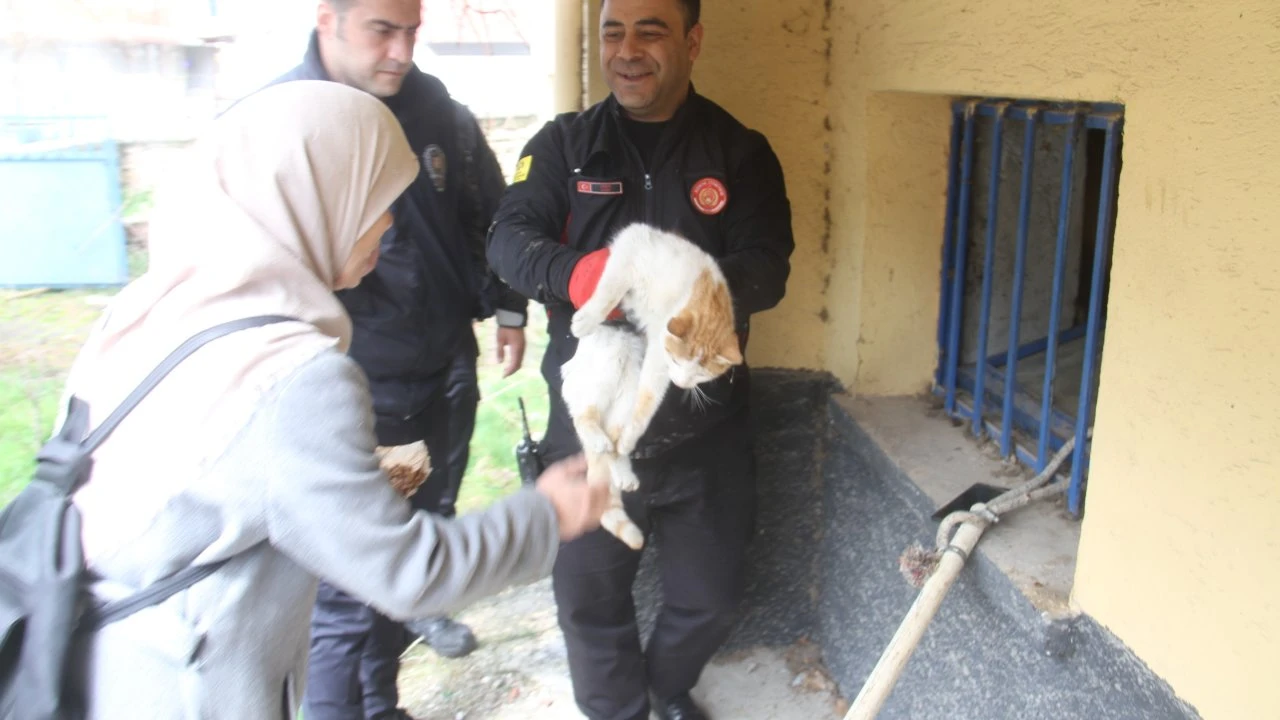 Konya’da Bodrumda Mahsur Kalan Kedi, İtfaiyenin Çabasıyla Kurtarıldı