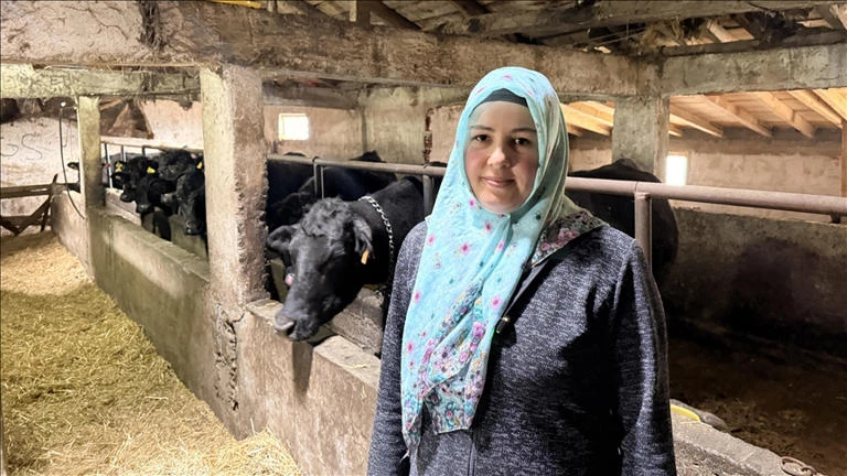 Devlet Desteğiyle Başardı: Kadın Çiftçi 51 Başlık Dev Sürüye Ulaştı