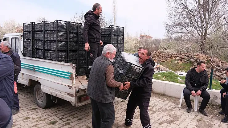 AKŞEHİR’DE ÜRETİCİYE CAN SUYU: HİBE DESTEKLİ FİDE DAĞITIMI BAŞLADI