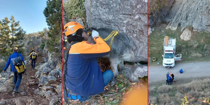 Seydişehir’de Dağda Mahsur Kalan Vatandaş Ekiplerce Sağ Kurtarıldı