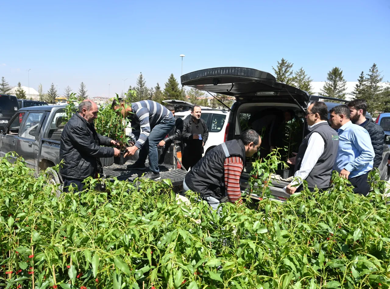 Konya’da ücretsiz fidan dağıtımı yoğun ilgi gördü: Vatandaşlar akın etti