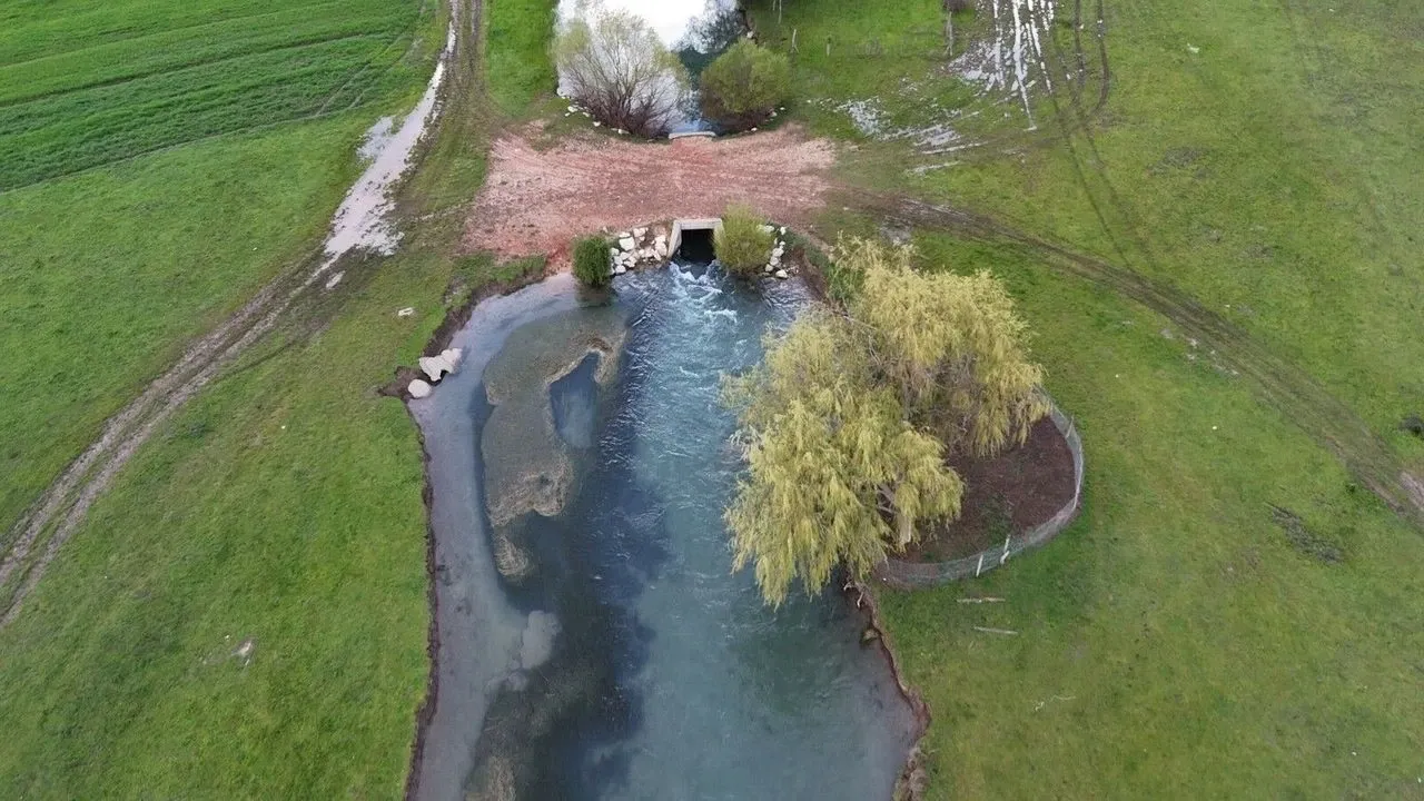 Konya’da Doğa Yeniden Canlandı: Leyleklerin Yeni Uğrak Noktaları Oluştu