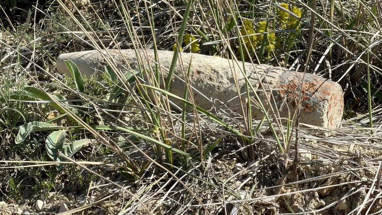 Mantar Toplarken Ölümcül Sürpriz: Toprağın Altından Çıkan Mermi Şaşkına Çevirdi