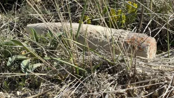 Mantar Toplarken Ölümcül Sürpriz: Toprağın Altından Çıkan Mermi Şaşkına Çevirdi