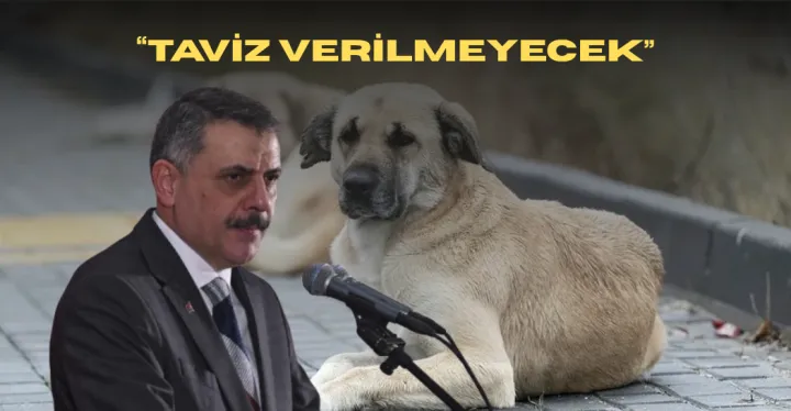 Sokak Hayvanlarıyla İlgili Kritik Açıklama: Taviz Verilmeyecek