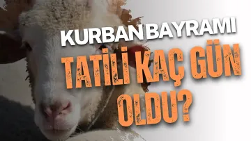 Kurban Bayramı tatili 9 gün olacak mı? Bakan Ersoy’dan kritik açıklama