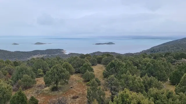 Türkiye’nin en büyük tatlı su gölü için Konya’da yeni koruma hamlesi