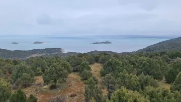 Türkiye’nin en büyük tatlı su gölü için Konya’da yeni koruma hamlesi