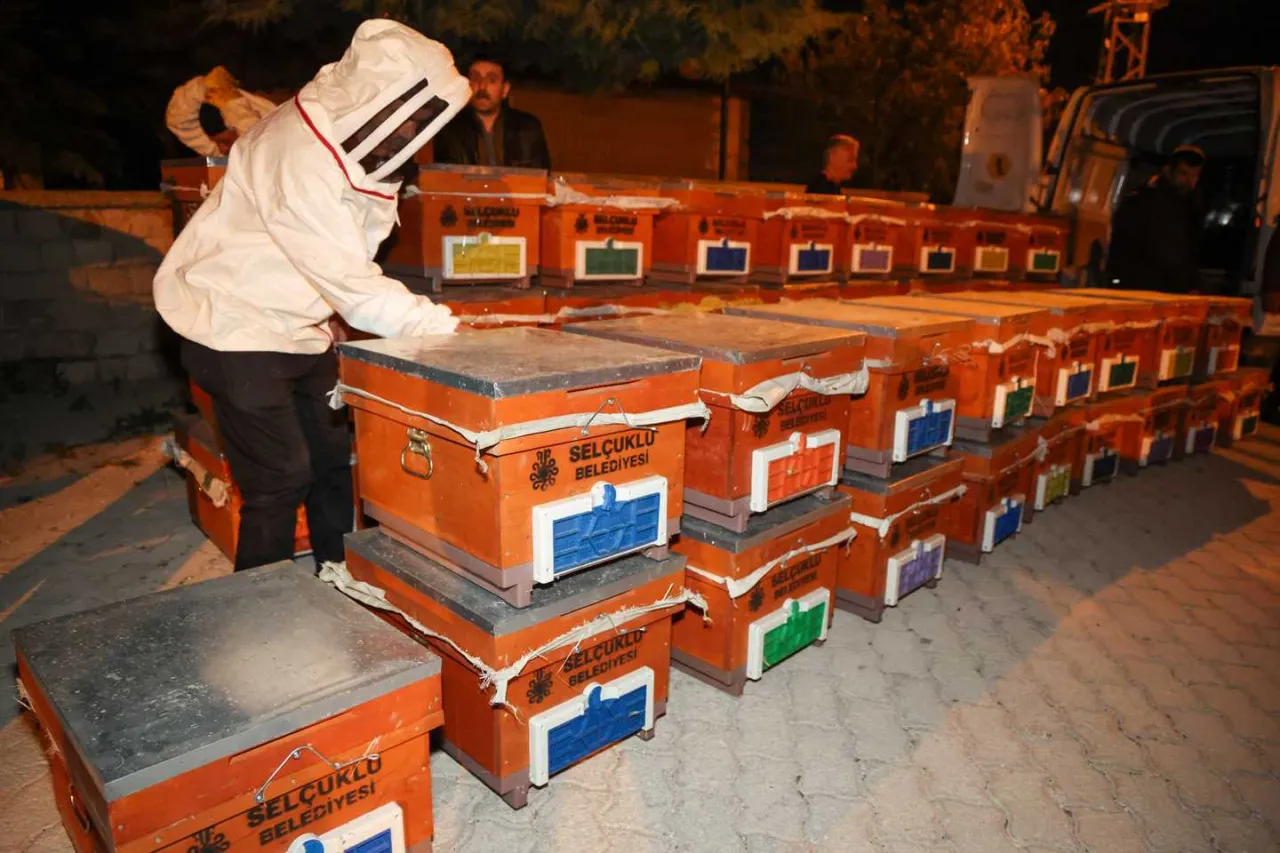 Selçuklu Belediyesi’nden Arıcılara Destek: 277 Çiftçiye 1352 Arılı Kovan Teslim Edildi