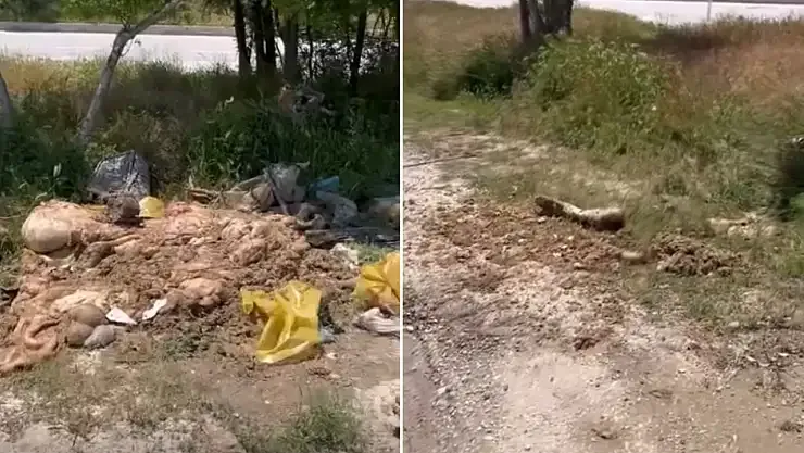 Ereğli’de Tepki Yağdı: Parkta Kaydedilen Görüntüler Gündem Oldu