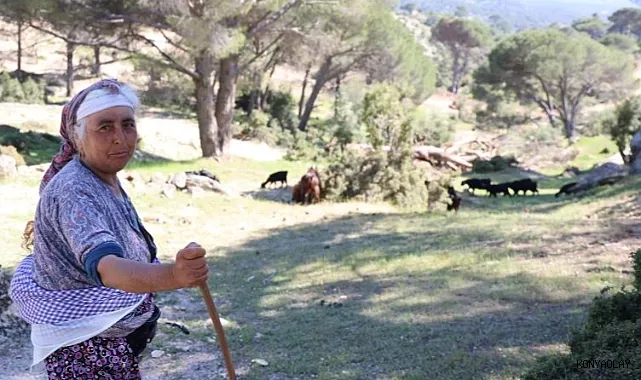 Bir Zamanlar Sürülere Yetmeyen Dağlarda Şimdi Birkaç Çoban Kaldı