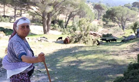 Bir Zamanlar Sürülere Yetmeyen Dağlarda Şimdi Birkaç Çoban Kaldı