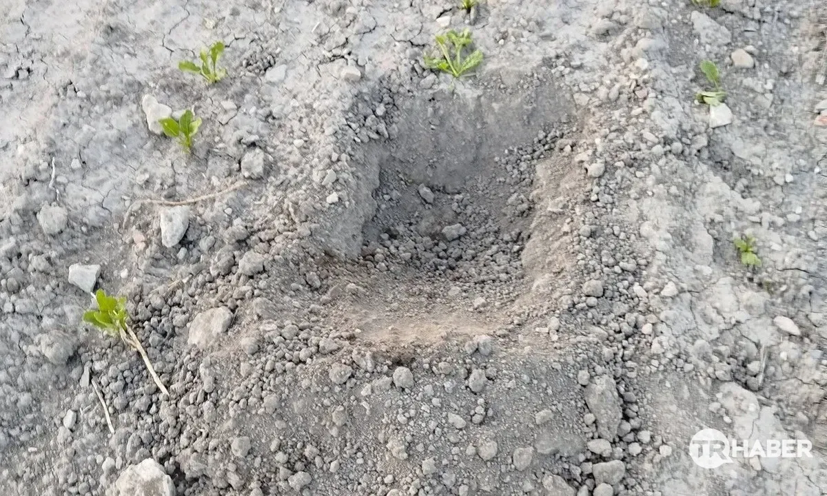 Konya’da Çiftçinin Ekili Arazisi Defineciler Tarafından Kazıldı