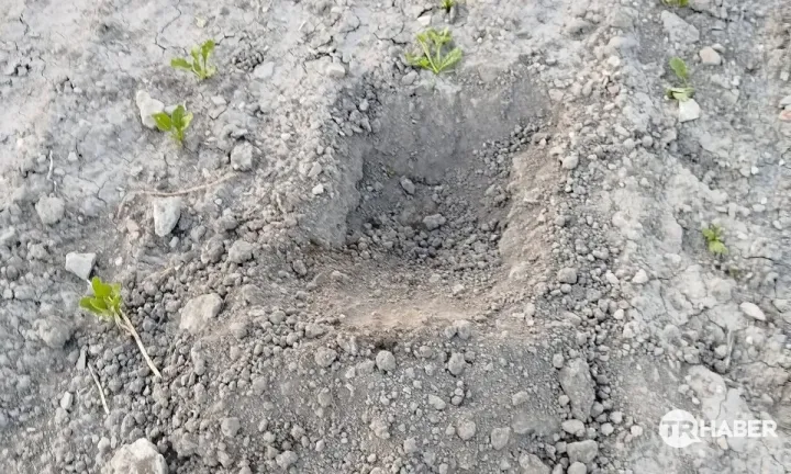 Konya’da Çiftçinin Ekili Arazisi Defineciler Tarafından Kazıldı