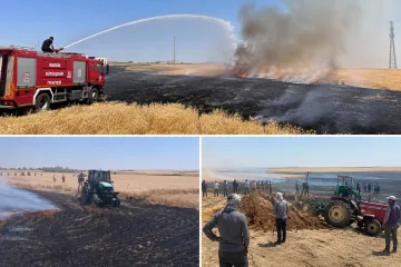 Mardin Kızıltepe’de 80 Dönüm Buğday Ekili Alan Yandı