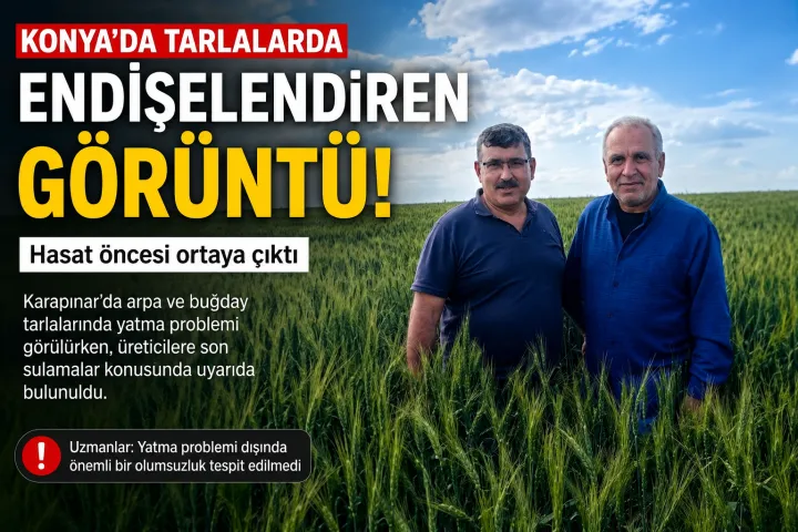 Hasat Öncesi Tarlalarda Dikkat Çeken Görüntü: Üreticilere Uyarı