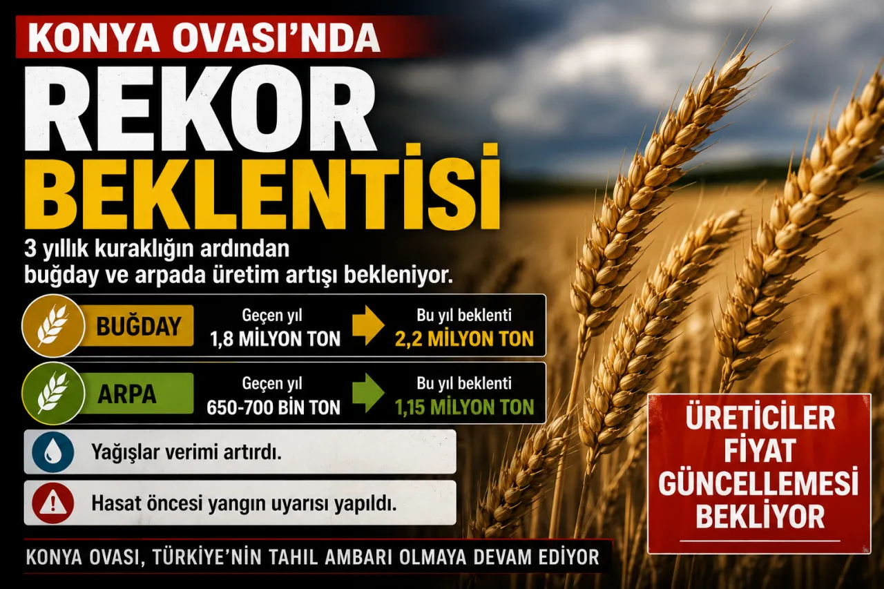 3 Yıllık Kuraklığın Ardından Konya'da Bereket Yılı: Verim 800 Kiloya Ulaştı