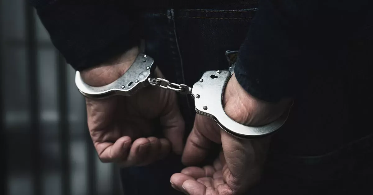 İçişleri Bakanlığı Duyurdu: Yurt Dışına Kaçan Aranan 90 Suçlu Türkiye'ye İade Edildi