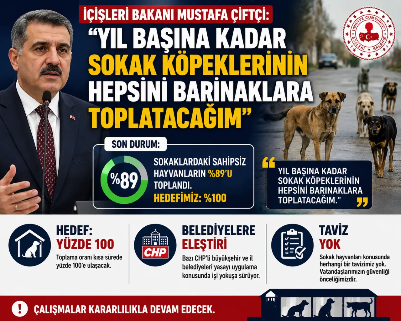 İçişleri Bakanı Çiftçi: "Yıl Başına Kadar Sokak Köpeklerinin Tamamını Barınaklara Toplatacağım"