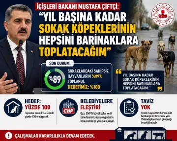 İçişleri Bakanı Çiftçi: "Yıl Başına Kadar Sokak Köpeklerinin Tamamını Barınaklara Toplatacağım"