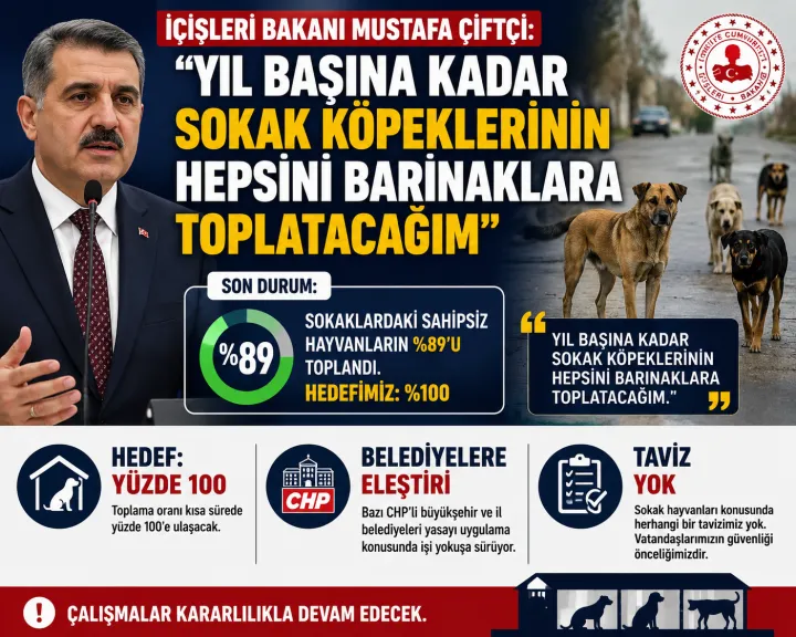 İçişleri Bakanı Çiftçi: "Yıl Başına Kadar Sokak Köpeklerinin Tamamını Barınaklara Toplatacağım"