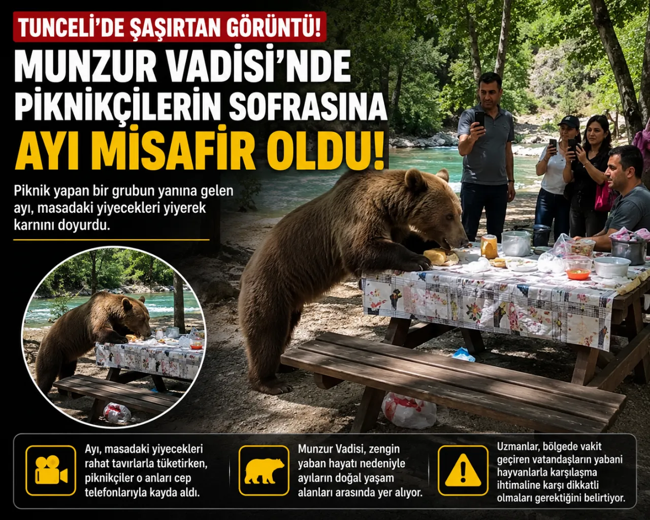 Munzur Vadisi'nde İlginç Anlar: Piknikçilerin Sofrasına Ayı Misafir Oldu