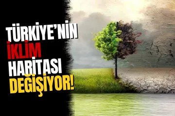 Araştırma Ortaya Koydu: Türkiye’nin İklim Haritası Değişiyor