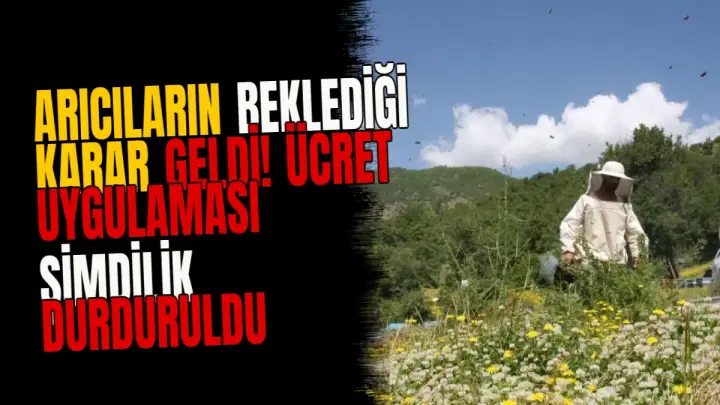 Arıcıların beklediği karar geldi! Ücret uygulaması şimdilik durduruldu