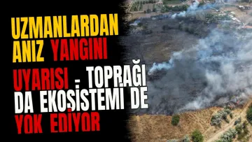Uzmanlardan Anız Yangını Uyarısı - Toprağı da Ekosistemi de Yok Ediyor