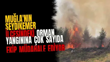 Muğla'nın Seydikemer ilçesindeki orman yangınına çok sayıda ekip müdahale ediyor
