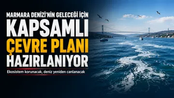 Marmara Denizi İçin Kritik Plan! Ekosistem Yeniden Canlandırılacak