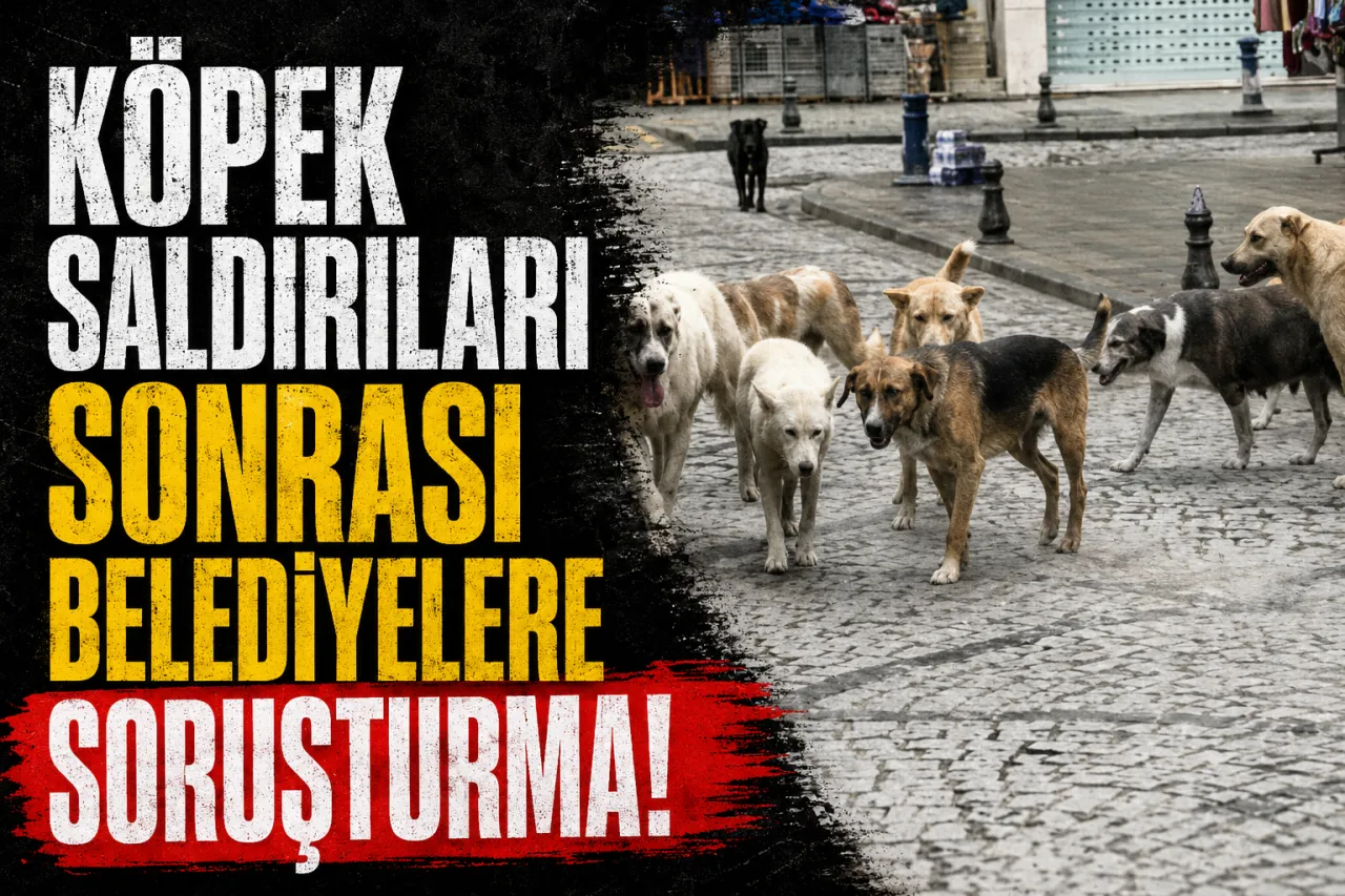 Başıboş Köpek Saldırıları Sonrası 3 Belediye Başkanı Hakkında İşlem
