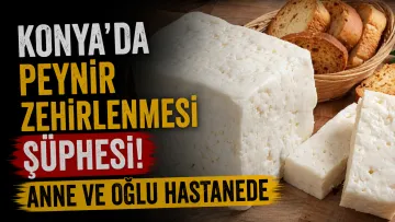 Konya’da Peynir Zehirlenmesi Şüphesi: Anne ve Oğlu Hastanede