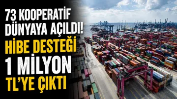73 Kooperatif Dünyaya Açıldı! Ticaret Bakanlığı Hibe Paketini Açıkladı: Destekler 1 Milyon TL'ye Çıktı