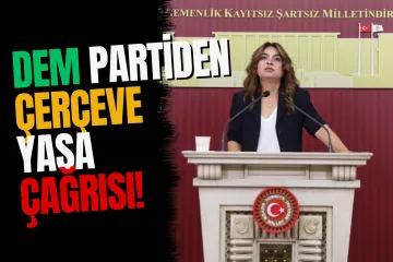 DEM Parti Grup Başkanvekili Koçyiğit: "Taslağın Bu Hafta İmralı Heyeti'ne Sunulmasını Bekliyoruz"