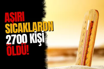 Avrupa'da Sıcak Hava Dalgası Kabusu! İki Ayda Binlerce Kişi Hayatını Kaybetti...