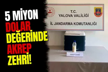 Yalova'da 5 Milyon Dolar Değerinde Akrep Zehri Ele Geçirildi