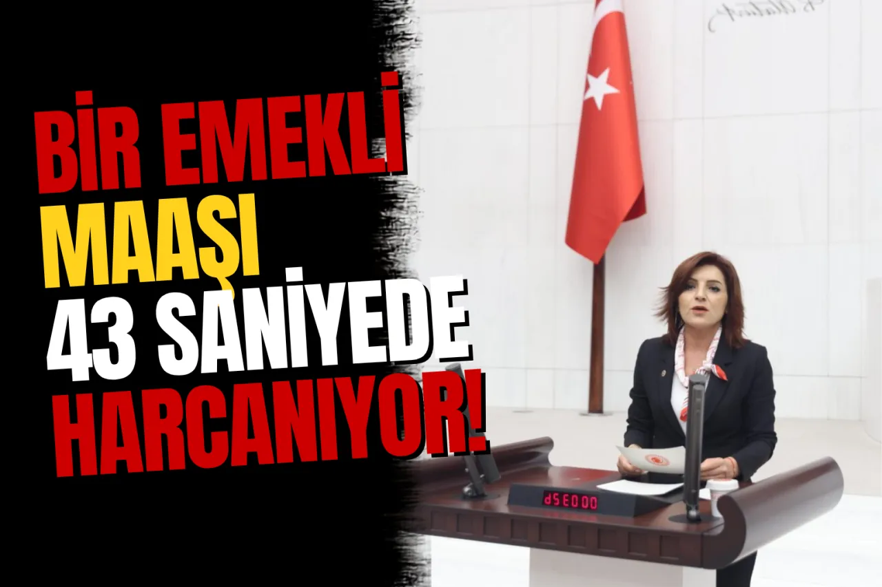 Bir Emekli Maaşı 43 Saniyede Harcanıyor" CHP'li Gülcan Kış'tan Cumhurbaşkanlığı Bütçesi Eleştirisi!