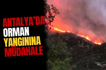 Antalya'da Korkutan Orman Yangını: Çok Sayıda Ekip Bölgede