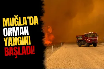 Muğla'da Orman Yangını: Hastane Tahliye Edildi, Karayolu Kapandı
