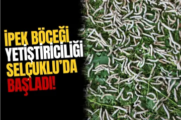 Selçuklu Belediyesi'nden Kırsal Kalkınmaya İpek Böceği Hamlesi