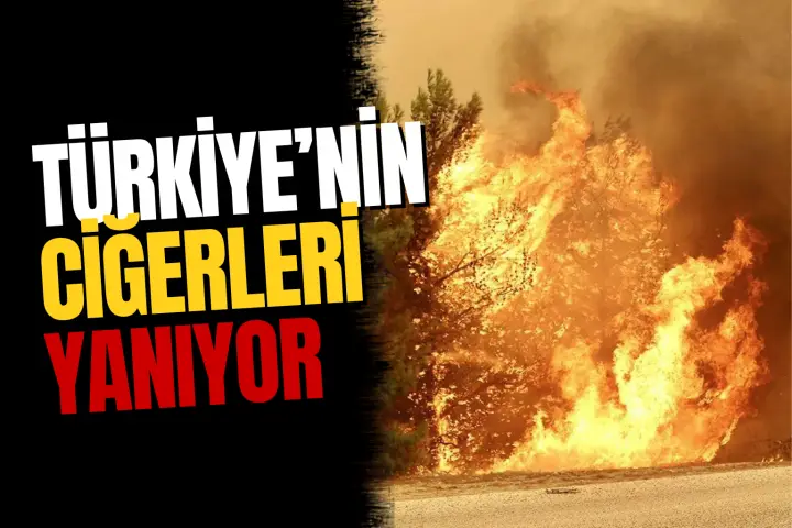 Türkiye'nin Ciğerleri Yanıyor! Bakan Yumaklı Son Durumu Açıkladı