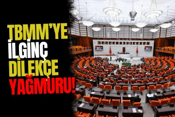 Vatandaşlardan TBMM'ye Şaşırtan Talepler
