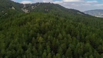 27 İlde Bazı Alanlar Orman Sınırından Çıkarıldı!