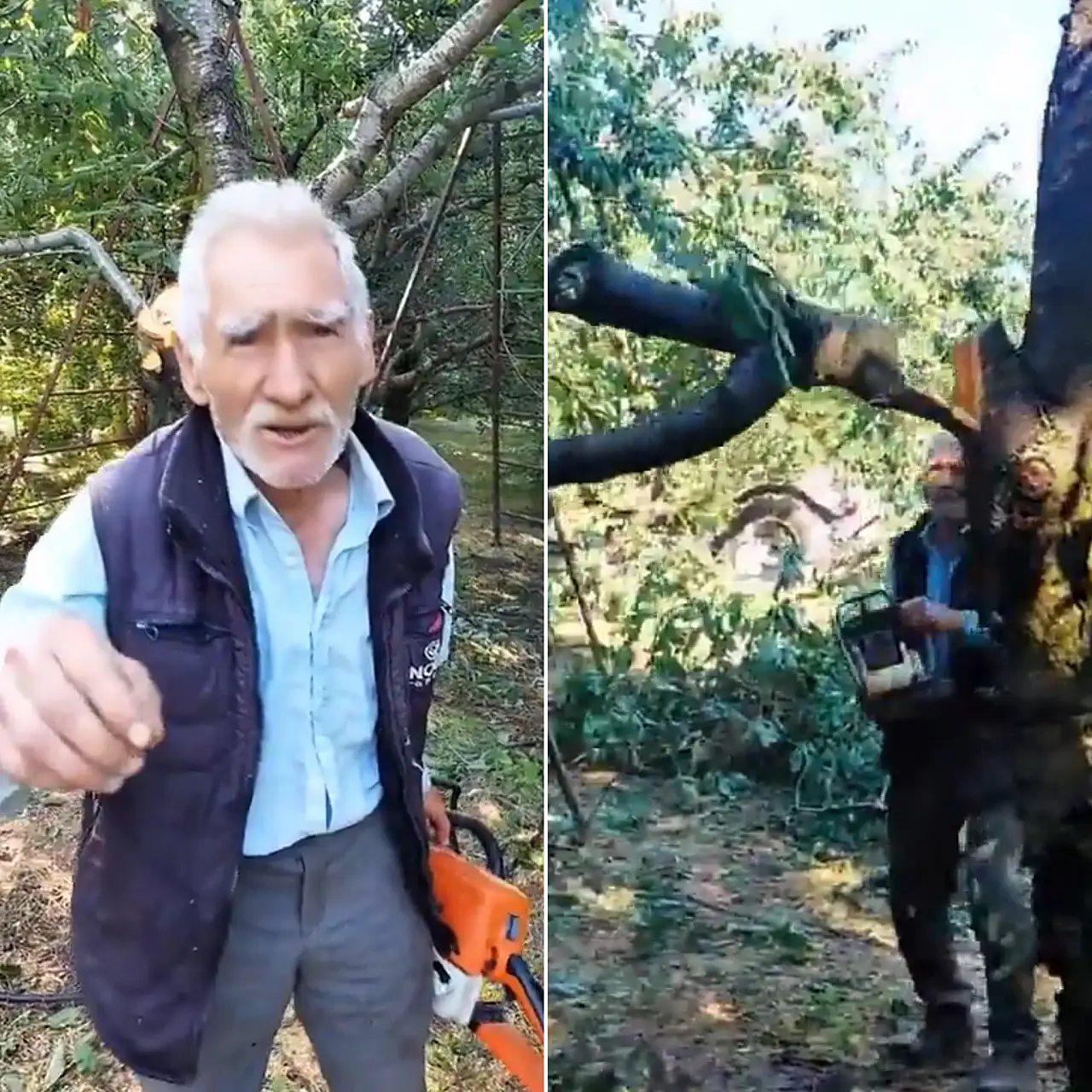 Konya'da üreticiyi isyan ettiren kriz! Ağaçlar tek tek kesilmeye başlandı haber fotoğrafı