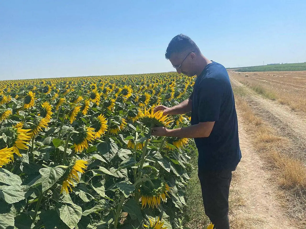 Konya'da ekipler tarım arazilerinde detaylı inceleme yaptı haber fotoğrafı