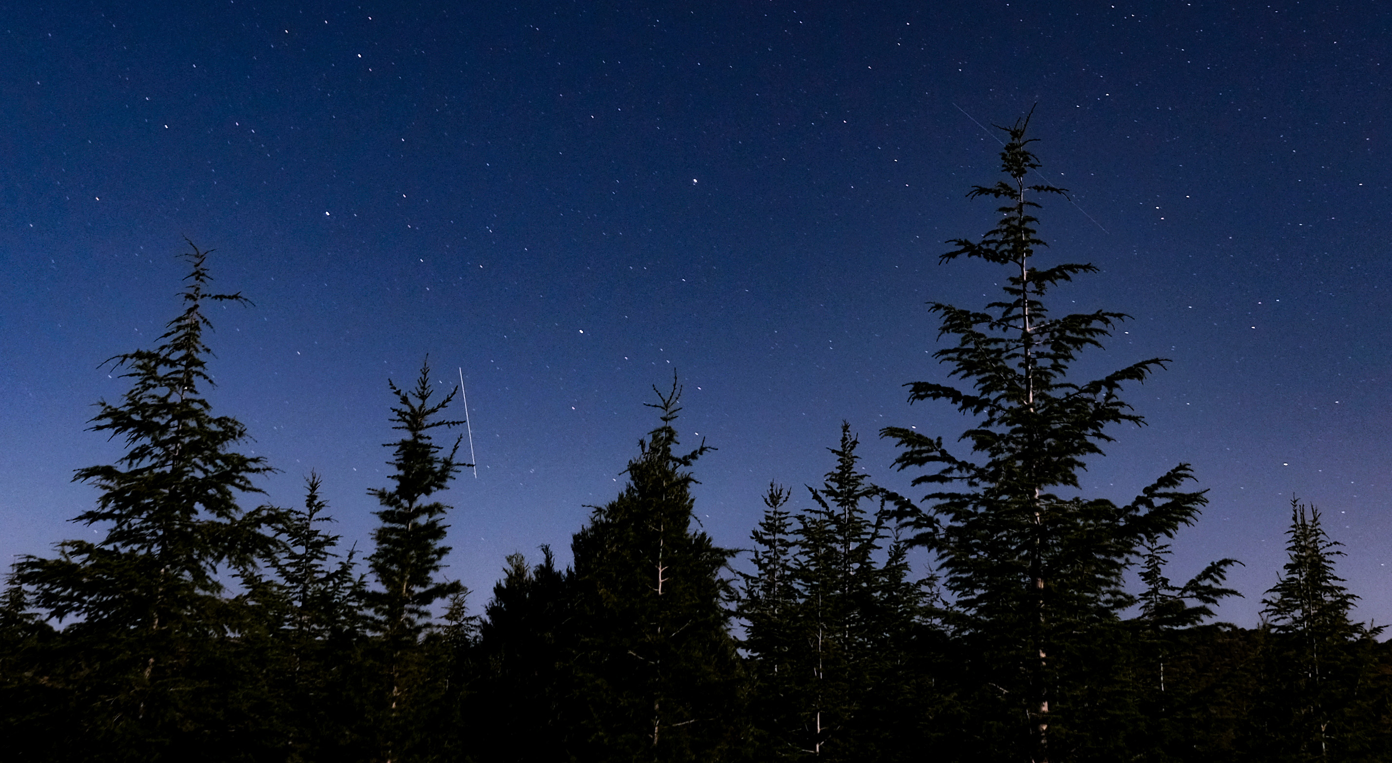 Perseid meteor yağmuru Konya'da bu gece zirve noktasına ulaşacak haber fotoğrafı